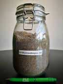 0/4 Mure-/Pudsegrus - SCT Webshop