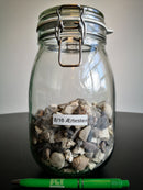 8/16 Ã†rtesten - SCT Webshop