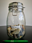 16/32 NÃ¸ddesten - SCT Webshop